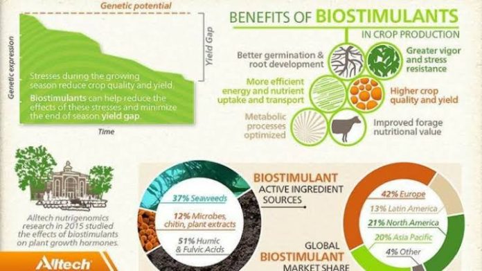 WhatsApp Image 2024-10-16 at 6.37.44 PM